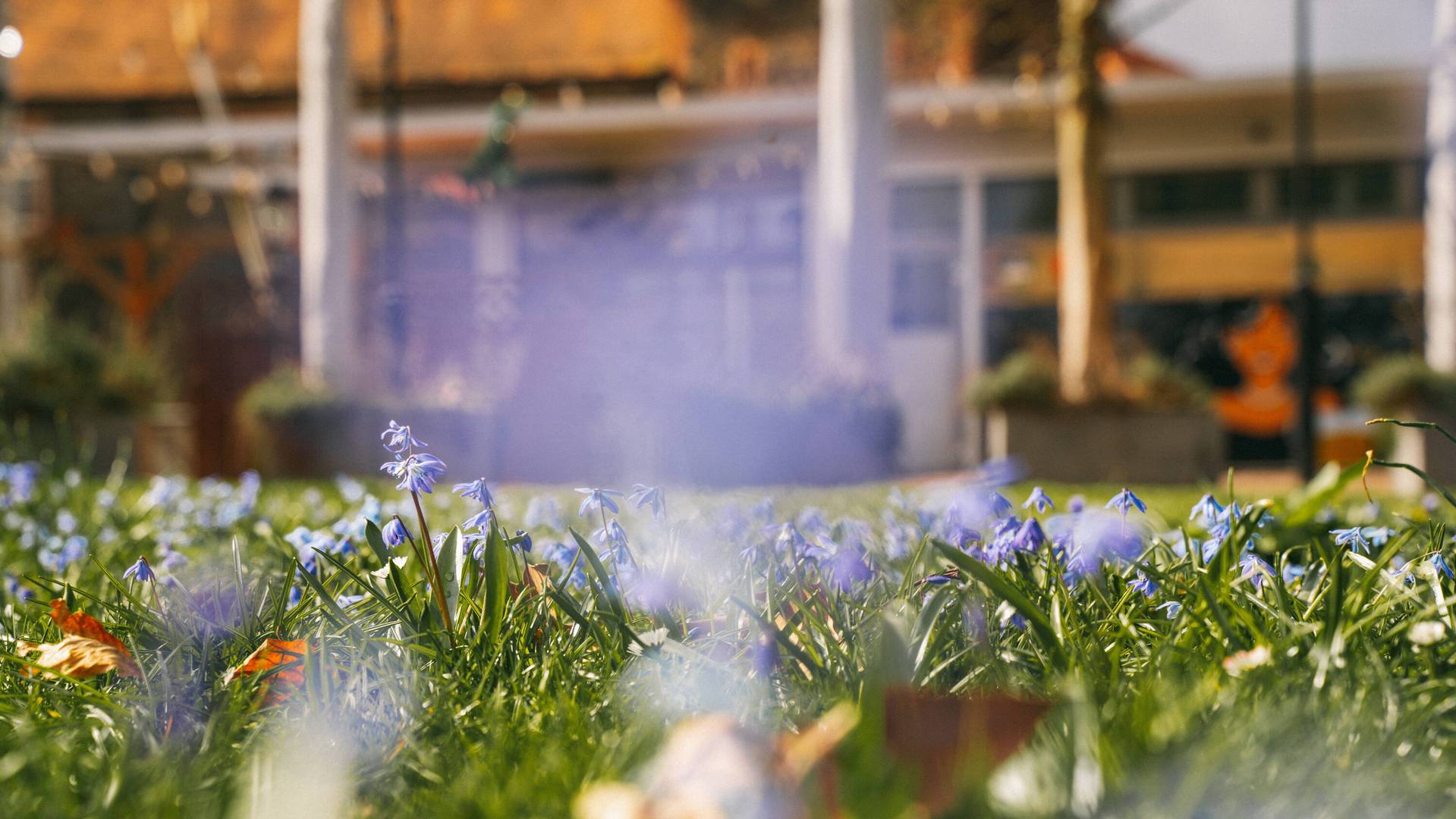 Alte Kanzlei – Hanau