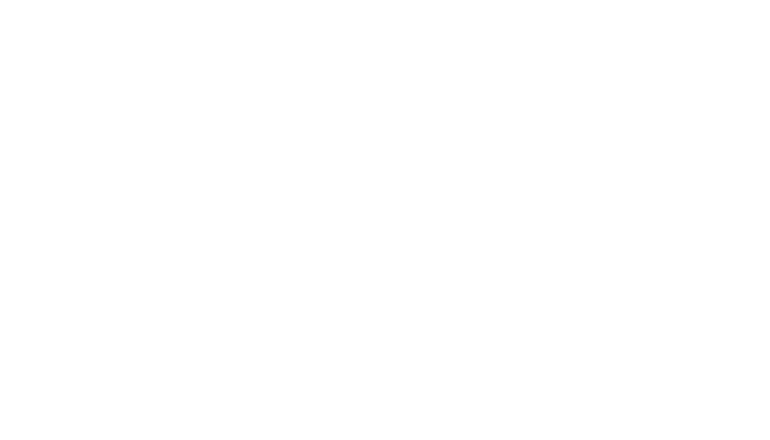 logo stadt hanau strich weiss